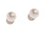 une paire de boucles d'oreilles en perles sur fond blanc
