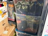 une valise bleue posée à l'arrière d'une camionnette
