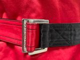 a close up of a belt with a buckle on a red dress