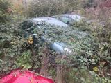 une voiture verte qui est garée dans les buissons