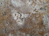 a close up of a stone surface with a brown and white color
