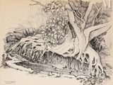 une image représentant un dessin d'un arbre tombé