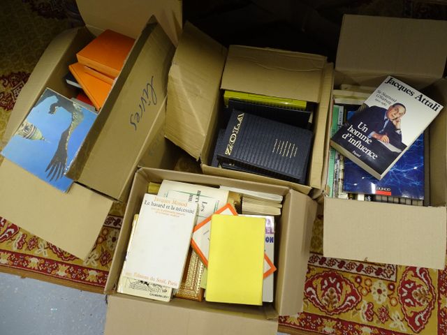 4 cartons de livres moderne, œuvre de Zola, ouvrage sur la peintu...