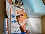 une boîte contenant beaucoup de nourriture