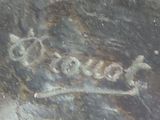 a picture of a rock with a painting on it