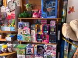 une pièce remplie de jouets, avec des jouets sur les étagères