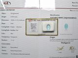 un certificat sur lequel figure un losange bleu