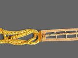 gold buckle with a snake on it on a gray background