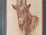 dessin d'une chèvre aux longues cornes sur une feuille de papier