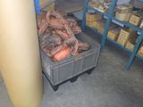 a container with a bunch of carrots in it