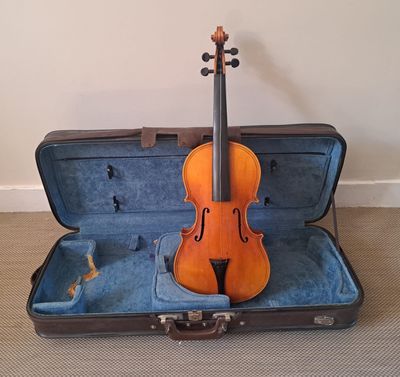 a violin that is sitting in a case on the floor