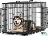 a dog that is sitting inside of a cage