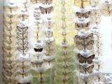 many different types of moths displayed in a white frame