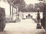 une photo en noir et blanc d'un jardin avec des arbres et des buissons