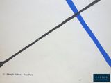 a picture of a book cover with a blue line on it