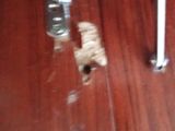 a picture of a dog that is looking through a hole in the floor