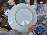 a person holding a blue and white plate in their hand