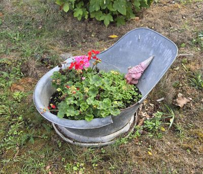 un seau rempli de fleurs posé par terre