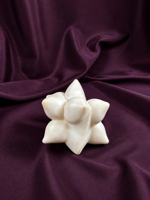 une fleur blanche sur un tissu violet, sur fond noir