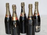 six bottles of champagne are lined up on a marble surface