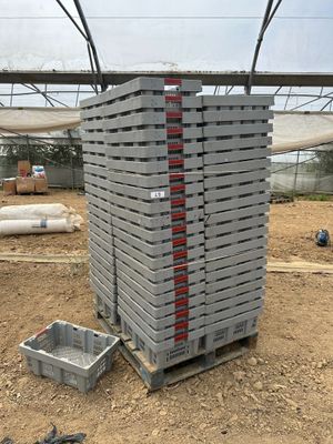 une pile de briques posée sur une palette, dans la terre