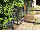 trois lanternes posées sur les marches d'une maison