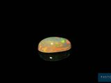 an oplite in the dark with a black background