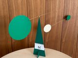 une voiture verte et blanche surmontée d'un sapin de Noël
