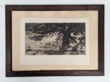 an image of a picture of a picture of a tree in a picture frame