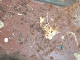 a dirty floor with some dirt and dirt on it