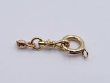 a close up of a gold chain with a hook on it