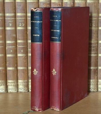 deux livres posés sur une étagère devant une rangée de livres