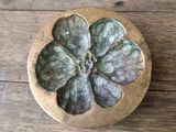 an image of a wooden box with a flower on top of it