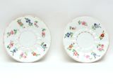 pair of porcelain plates with floral designs on them on a white surface