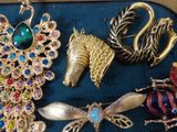 a lot of brooches that are sitting on a blue tray