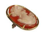 an image of a red and white cameo broochle