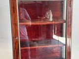 Quelqu'un prend une photo d'une vitrine dans laquelle se trouve un chat.