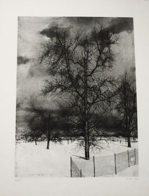 photographie en noir et blanc d'un arbre dans un champ enneigé