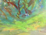 une peinture représentant des poissons nageant dans un étang