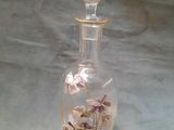une bouteille en verre transparent contenant des fleurs, posée sur une table