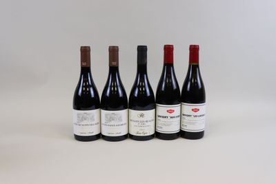 six bouteilles de vin sont alignées sur une surface blanche