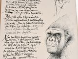 an open book with a drawing of a gorilla on it ' s cover