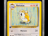a close up of a pokemon card with a cat on it