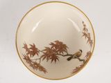 a bowl with a bird sitting on a branch of a tree
