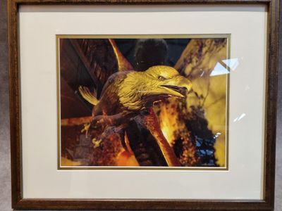 une photo d'un oiseau exposée dans un cadre