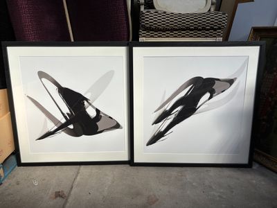 deux photos encadrées représentant deux oiseaux posés sur une table