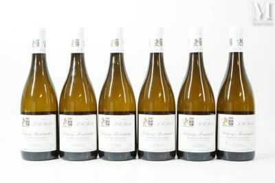 six bouteilles de vin blanc alignées
