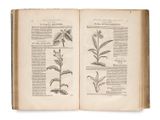 un livre ouvert sur lequel figurent des illustrations de plantes et de fleurs