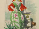 illustration of a woman in a green and red dress standing in front of a stove