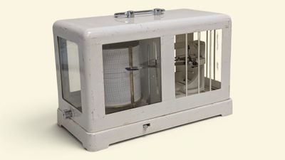 une image représentant une petite cage avec un chien à l'intérieur